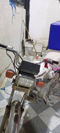 موتور • سنوية • رقم