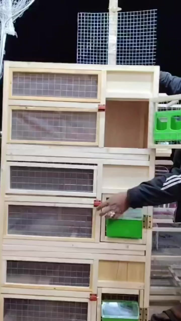 *********** 
***********
