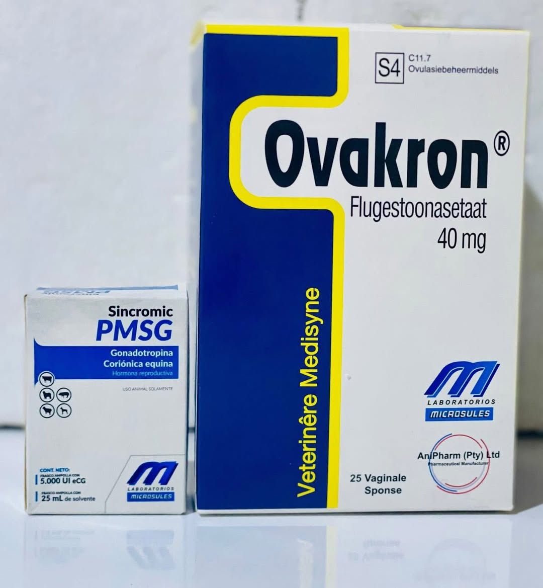 🐑 برنامج إسفنجات توحيد الشبق من عيادة الريف
تريد إنتاجك يتضاعف وغنمك يلد كله بوقت واحد؟ عيادة الريف وفرتلك الحل الطبي الأمثل ببرنامج يجمع أقوى العلاجات العالمية بأنسب الأسعار في السوق.

💉 البرنامج العلاجي (الخلطة السحرية للإنتاج)
لضمان النتيجة، لا تكتفي بالإسفنجة فقط؛ اتبع برنامجنا المتكامل:

1. تنشيط المبايض (UVEDCO . ES):
• نبدأ بحقن الـ ES (فيتامين E وسيلينيوم) الأردني الأصلي.
• الفائدة: رفع الخصوبة وتنشيط المبايض قبل البدء.
2. تنظيم الدورة (الإسفنجات):
• استخدام أجود الأنواع لتوحيد وقت الهياج عند كل الحلال بدقة.
3. دفع التوائم (PMSG):
• حقن الهرمون المحفز مع سحب الإسفنجة لضمان خروج أكثر من بيضة.

📦 أجود الأصناف المتوفرة (بأسعار تنافسية جداً)
وفرنا لك كل الخيارات العالمية التي تجمع بين الكفاءة والسعر المناسب:
• 🇳🇱 الهولندي (Chronogest): النوعية الأولى لضمان التزامن الدقيق.
• 🇺🇸 الأمريكي (Ovakron): خيار النخبة لنتائج احترافية.
• 🇨🇳 الصيني نخب أول: 3 أنواع مجربة (Shengduoduo, NSHF, Ningbo) سعر اقتصادي ونتيجة مضمونة.

• 💉 المحفزات: متوفر حقن (ES) و (PMSG) الأصلية بأسعار جداً مناسبة.
💡 لماذا تختار عيادة الريف؟
• توفير حقيقي: أسعارنا مدروسة لتناسب جميع المربين.
• راحة البال: حلالك يلد سويةً، مما يوفر عليك العلف والجهد.
• إشراف طبي: متابعة مباشرة من الدكتورة ريم زيدان و الدكتور عبدالرحمن لضمان دقيق للمواعيد والنتائج.

📍 العنوان: صلاح الدين - قضاء العلم - قرب سيطرة 14.


**إذا كنت صاحب هذا الإعلان وتريد حذفه لأي سبب، رجاءا أرسل رسالة إلى الدعم الفني**