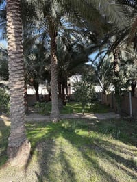 كربلاء شارع بغداد • ٤٠٠م • طابو زراعي