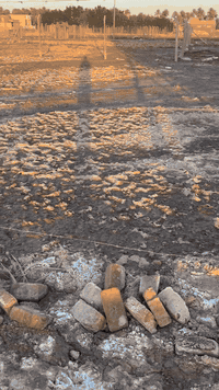 حله ورديه • ٤٠٠م • طابو زراعي