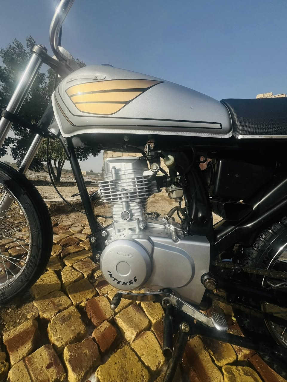 سلام عليكم دراجه لبيع تعمير كله 25مكينه نتنس موديل25برغي ما مفتوح بيه لا تبخير لا تنقيص شاصي نامه بلاد موديل23دراجه نضيفه صاله شهر من معمره سعر 700وبيه مجال ما تشتري لا تراسل بروح موتاك


**إذا كنت صاحب هذا الإعلان وتريد حذفه لأي سبب، رجاءا أرسل رسالة إلى الدعم الفني**