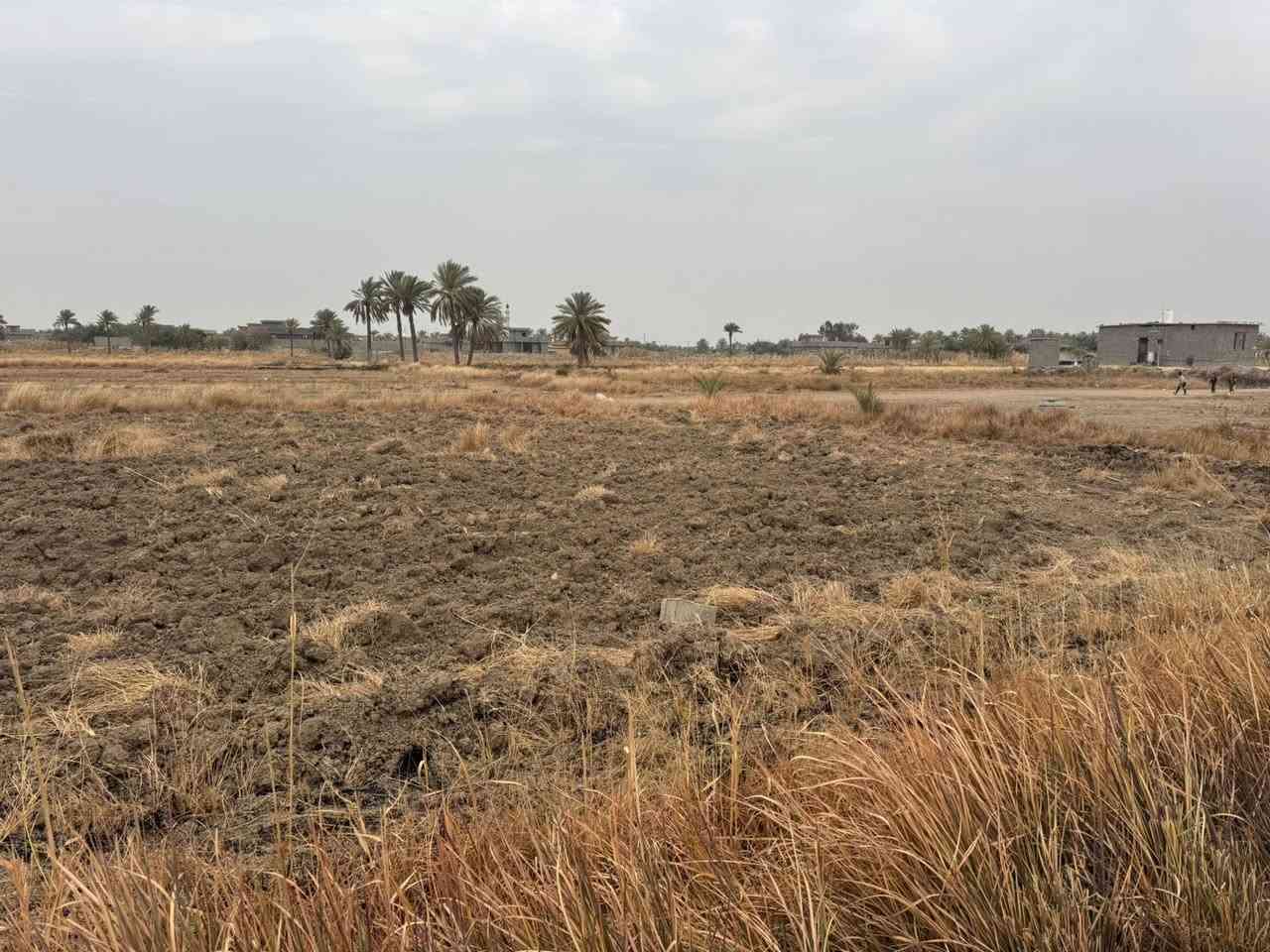 ٣ دوانم للبيع طابو زراعي سند ٢٥  مي كهرباء شهابي الثالثه ***********
***********
