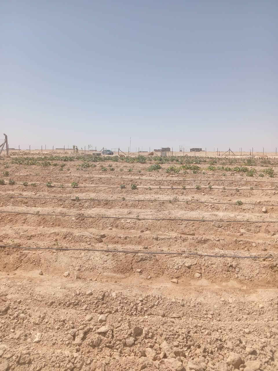 قطعه أرض غير طابو مساحته 6000 م على شارعين للبيع خدمات واصله بيها مزرعه بيها نخل ومشمش وحوض مي وتنقيط مسيجه BRC موقع شيخ حديد السعر 32 مليون وبيها مجال
للاستفسار ***********
