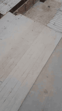 اربع قطع سندويج جداري و6قطع جينكو مع حديد كلهن ب150 الف  الشراي يتصل  ...