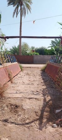 شاصي فوزة • ٥ ونص متر • الدوانيه