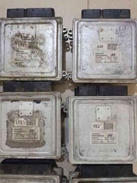 عقول كوري 341 • أربيل • جملة ومفرد