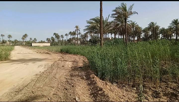 يالله( اللهم صل على محمد وال محمد )
ارض مساحة دونم ( 2500 ) متر طابو زراعي سند 25 تحويل مباشر بأسم المشتري .. مزروعة نخيل وتربة الارض حلوة صالحة للزراعة ومتوفر ماء سقي خاص للارض..

عرض واجهة الدونم 40 متر والباقي النزال ويبعد عن شارع العام مسافة 700 متر بسيارة دقيقتين وشوارع تبليط وله      اكثر من مدخل .. علمآ عرض شارع الخاص للدونم يبلغ عرضة 11 متر
يصلح للسكن ويصلح مكان ترفيهي وايضآ يصلح مخازن للحفظ

المنطقة سكنية وخدمات متوفرة ( المدارس ابتدائية ومتوسطة واعدادية وروضات اطفال + اسواقات ومحلات مخضر + كهرباء وطني وخطوط مولد ذهبي وعادي + وماء اسالة 24 ساعة + ماء سقي )       السعر الارض ( 120 ) وقابل للمجال

العنوان / شارع طوريج كربلاء سايد الدخول الى كربلاء مقابيل المعهد الفني التقني قرب مدارس رميلة ( *********** )
