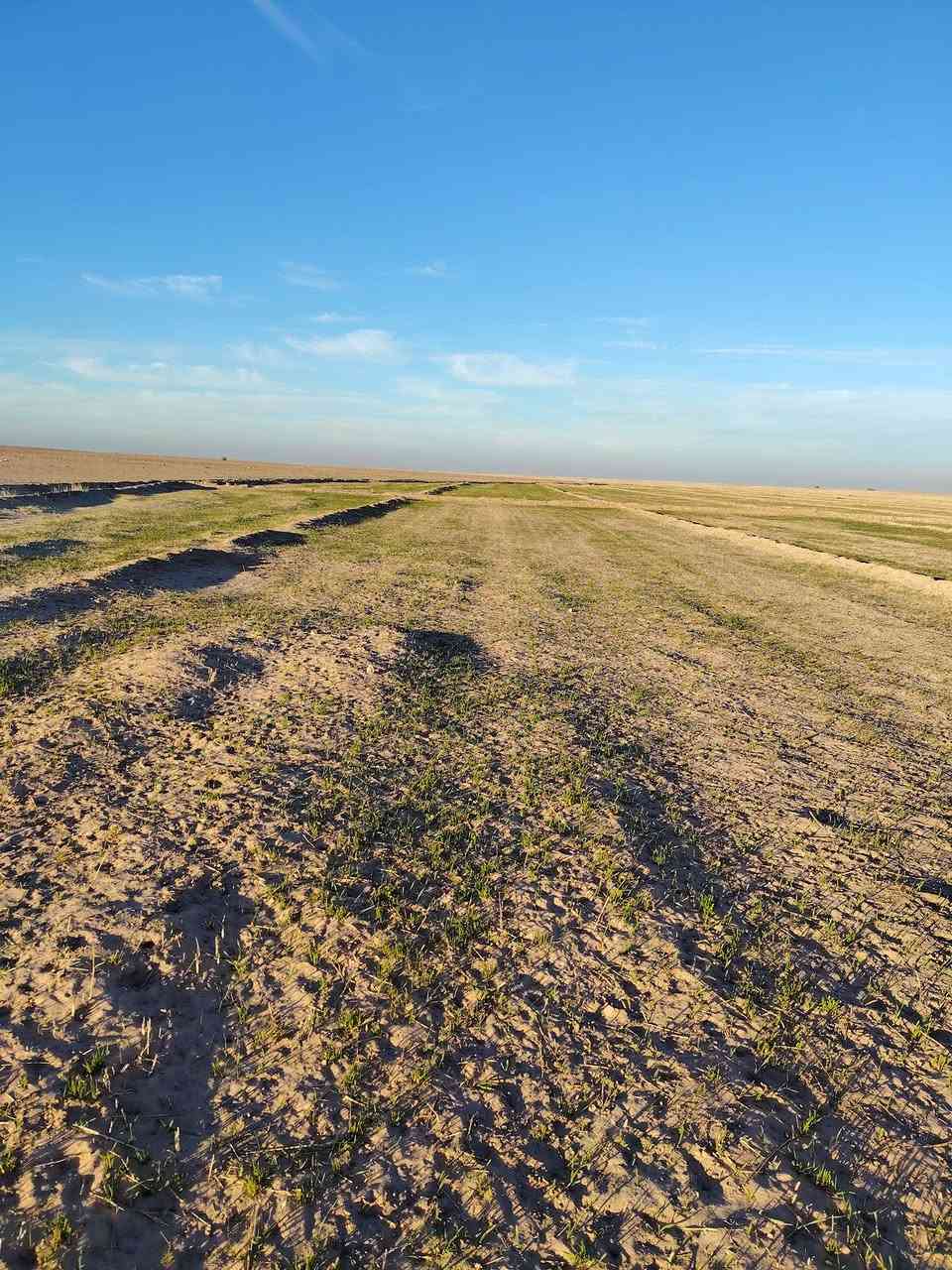 السلام عليكم كاع للبيع 233 دونم بيه بير العام مزروعه والسنه مخضره جاث عل مطر بلكصير ***********
