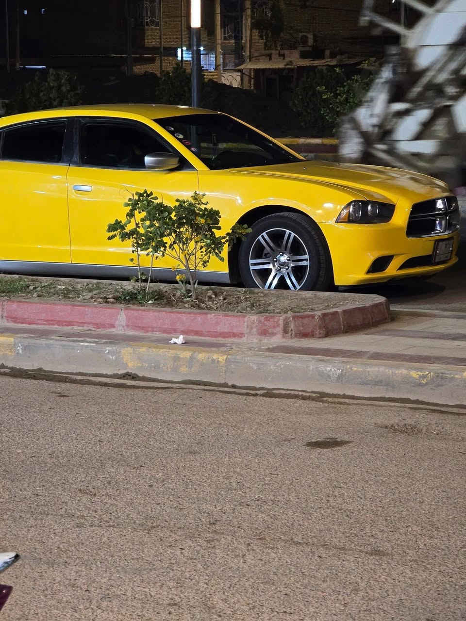 السلام عليكم رمضان كريم
اخوان جارجر للبيع موديل 2014\كير /مكينه/اكسن/حداديه/منضومة تبريد/حجر بيئه/عربانه فوك الموديل/سياره جاهزة /كشنات حضن/شاشه/اكلاصات تتدفه /تبريد/حادث السياره جاملق وبنيد والباب الوره السايق بدون ضرر داخلي/رحمه الوالديك اقره المنشور اله اتخابر /خط السياره ناصريه نجف/مكان السياره ناصريه سيددخيل /رقم موبايلي هذا *********** لا اتخابرني واتكلي اشبيه ما بيه كل للتفاصيل مذكوره واسف على الاطاله السعر 160\وبيه مجال وكلشي موجود بلسوك
