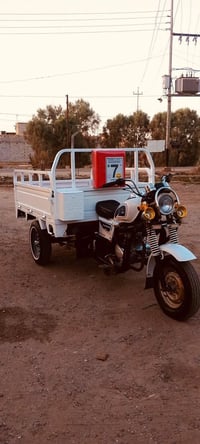 ستوته • توه معمره • كله جديد