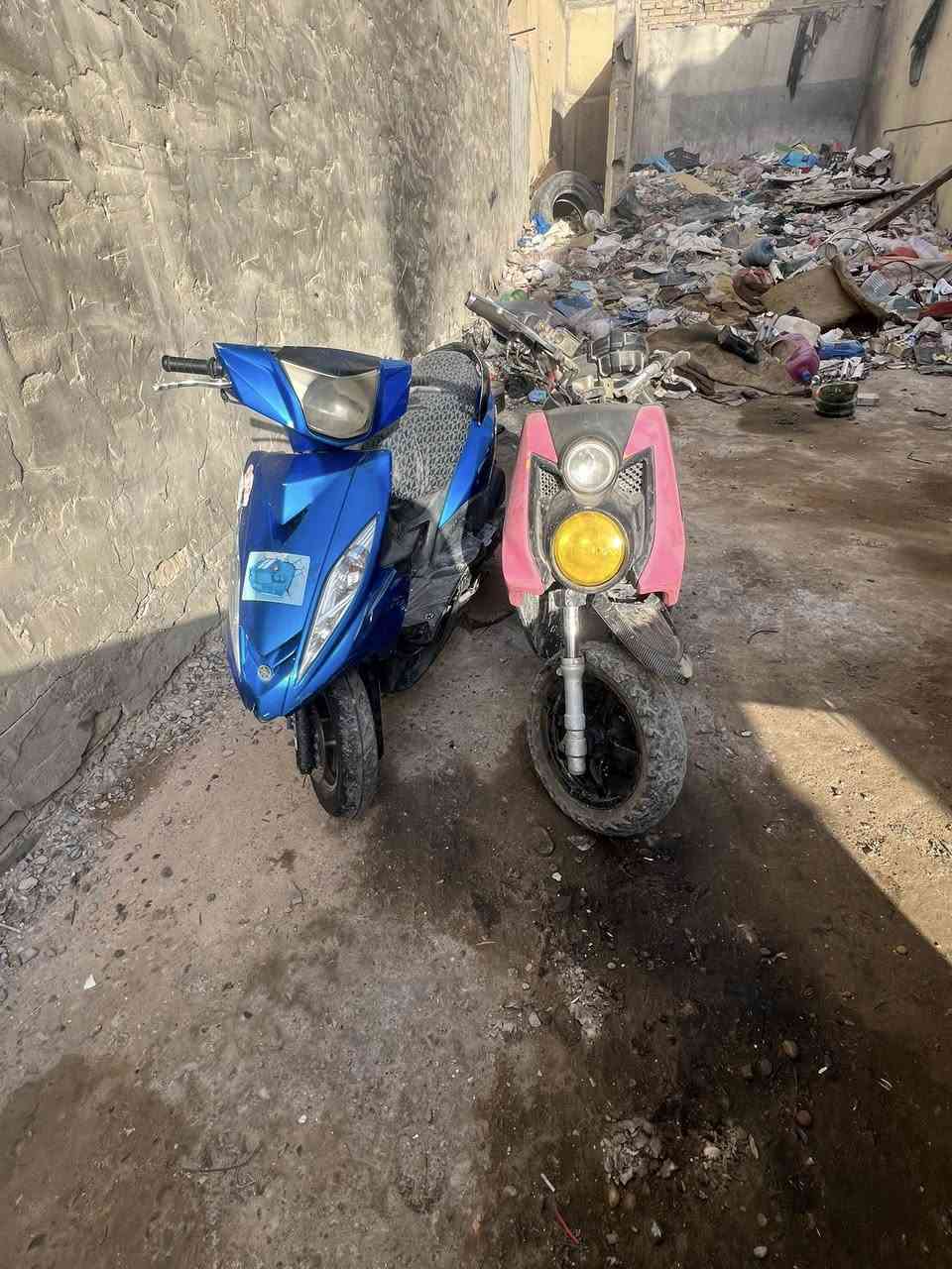 سكنس جبلي سعر ٥٠٠ سكنس جي تي ار  سعر ٦٠٠ وبيهن مجال اكفلهن سرقه شغالات نكره سلف شغل وتقتنع يلا تشتري عوزهن ترتيب مكاني الامين الثانيه ***********
