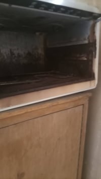 هوفن بي شورت • فرن