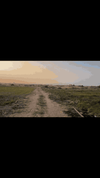 دونمين للبيع قرية البوضايع 
 قرب السده لتواصل ***********
