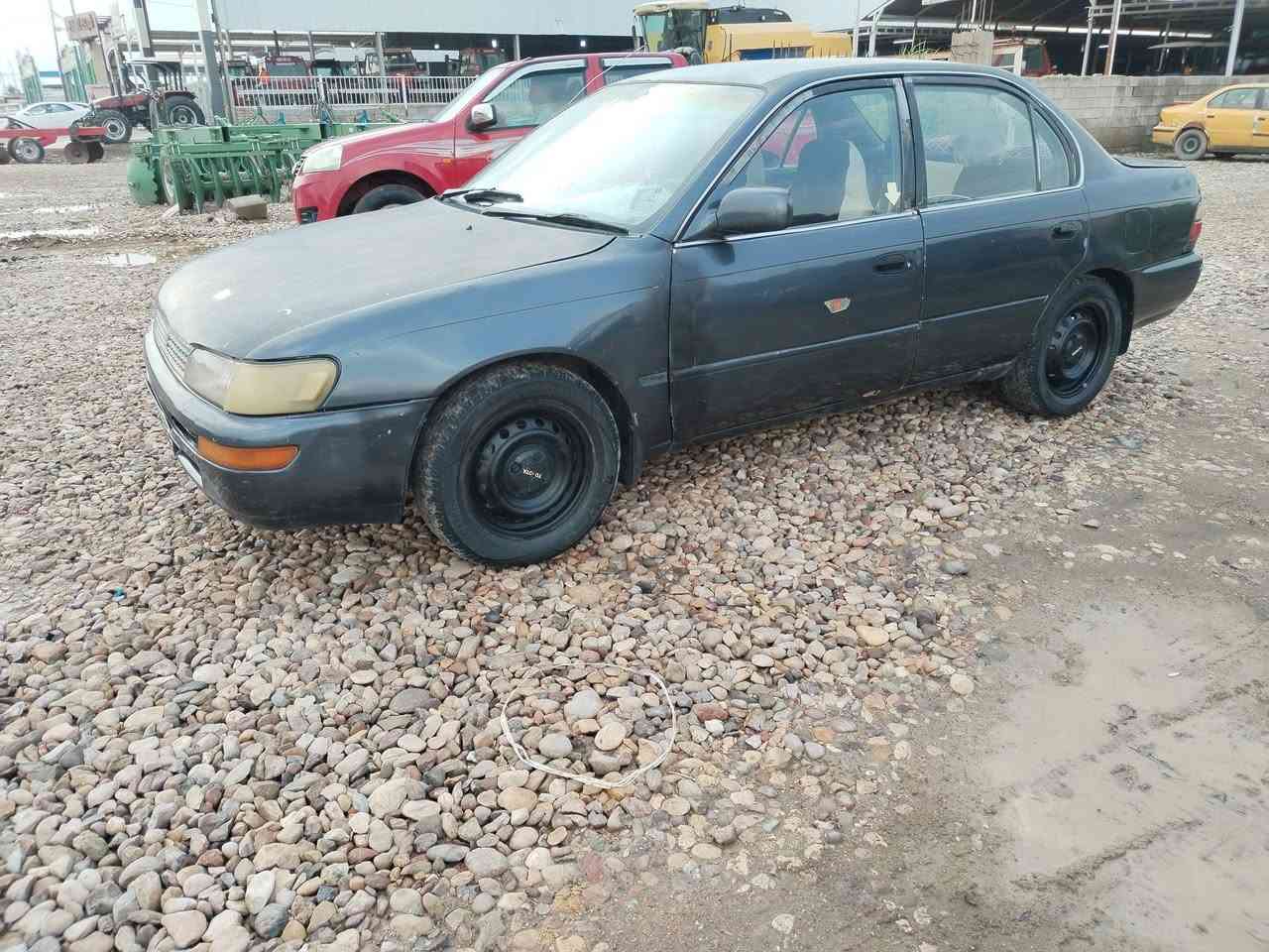 سلام عليكم كورلا موديل ٩٣سنويه جديده رقم بغداد دولي تحويل مباشر سياره جاهزه كير ومحرك مكفولات تخم تاير كهربائيات كل شغاله سياره جاهزه احله من صور غرف جديده  دشبول جديده العنوان واسط الزبيديه الاستفسار على***********
