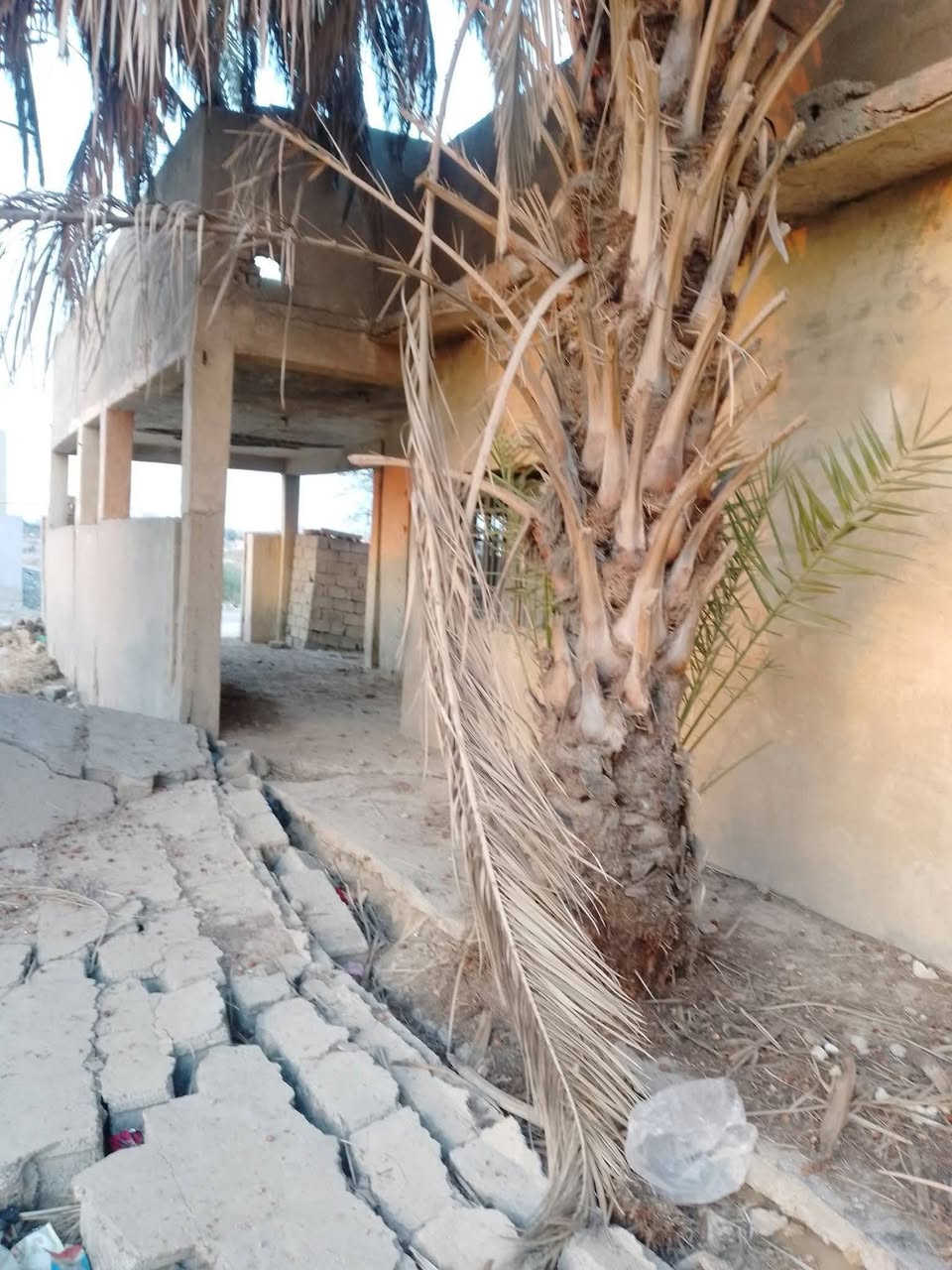 يا الله دار للبيع كاطون الرحمه منطقة 7000 قرب مدرسة الاكليل المساحه 240علما الدار قديم يعتبر قطع(‏‪***********‬‏) يوجد وتساب مساحه 240
