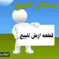 ٧ دونم • كربلاء طويريج • زراعة وسكن