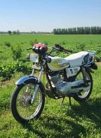 تايكر سونك ٢٠٢٥ • كفالة عامة • ديوانية السنية