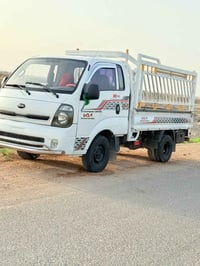 بكيا حمل • ٢٠٠٩ • السماوه