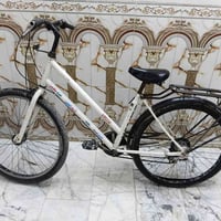 باسكل ياباني • يحتاج جوب امامي • الشعب