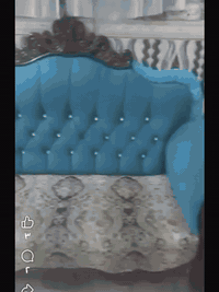 تخم للبيع السعر 250 وبي مجال 07828841016