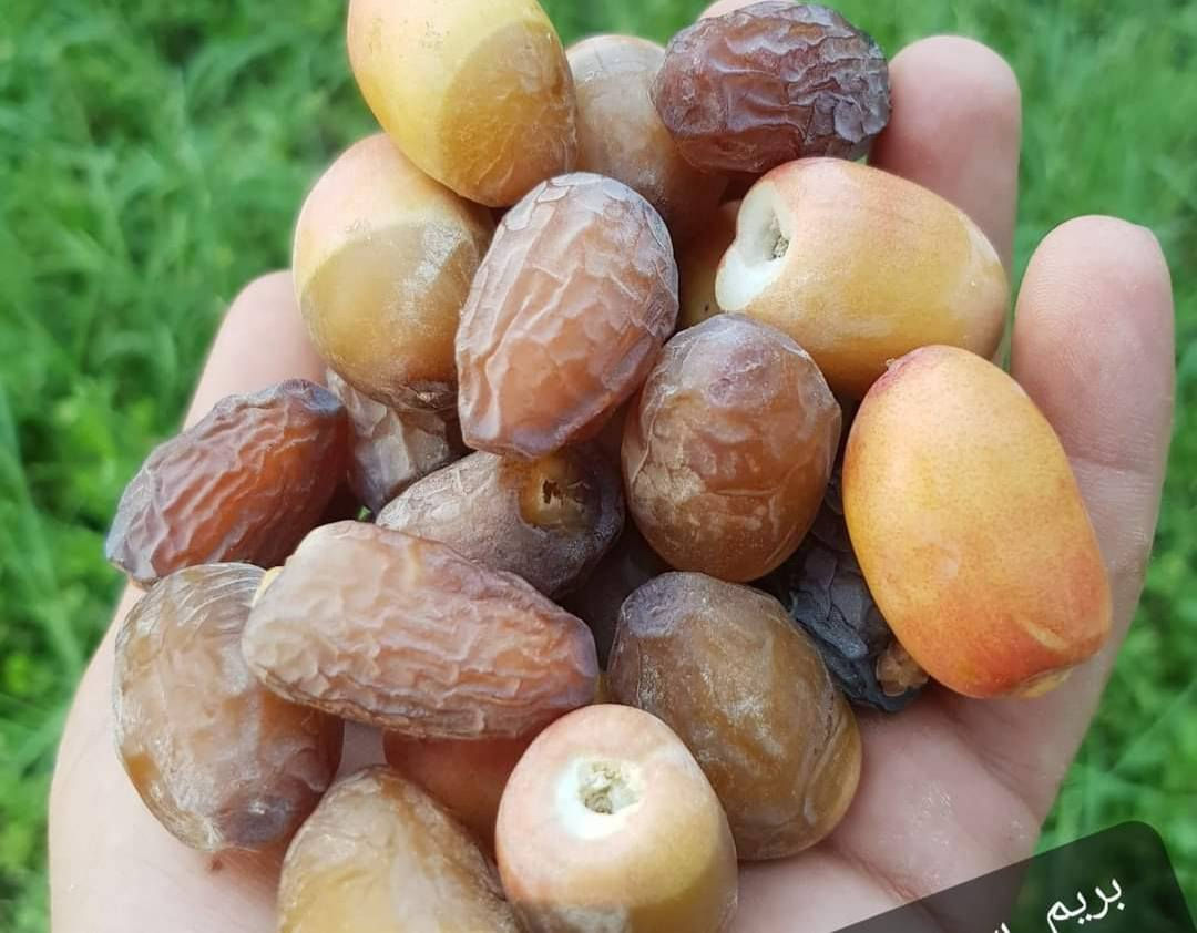 السلام عليكم ورحمه الله وبركاته يوجد فسئل بريم اللبيع العنوان التاجي ***********
