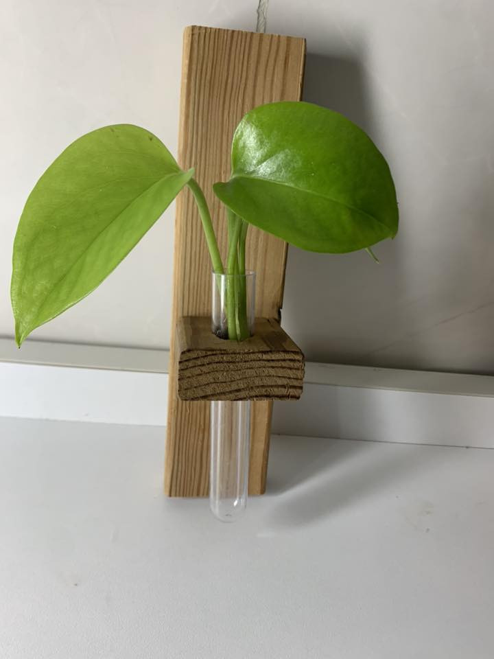 سلام عليكم بنات عندي هذولة اغراض ابيعها بسعر قليل جدا


**إذا كنت صاحب هذا الإعلان وتريد حذفه لأي سبب، رجاءا أرسل رسالة إلى الدعم الفني**