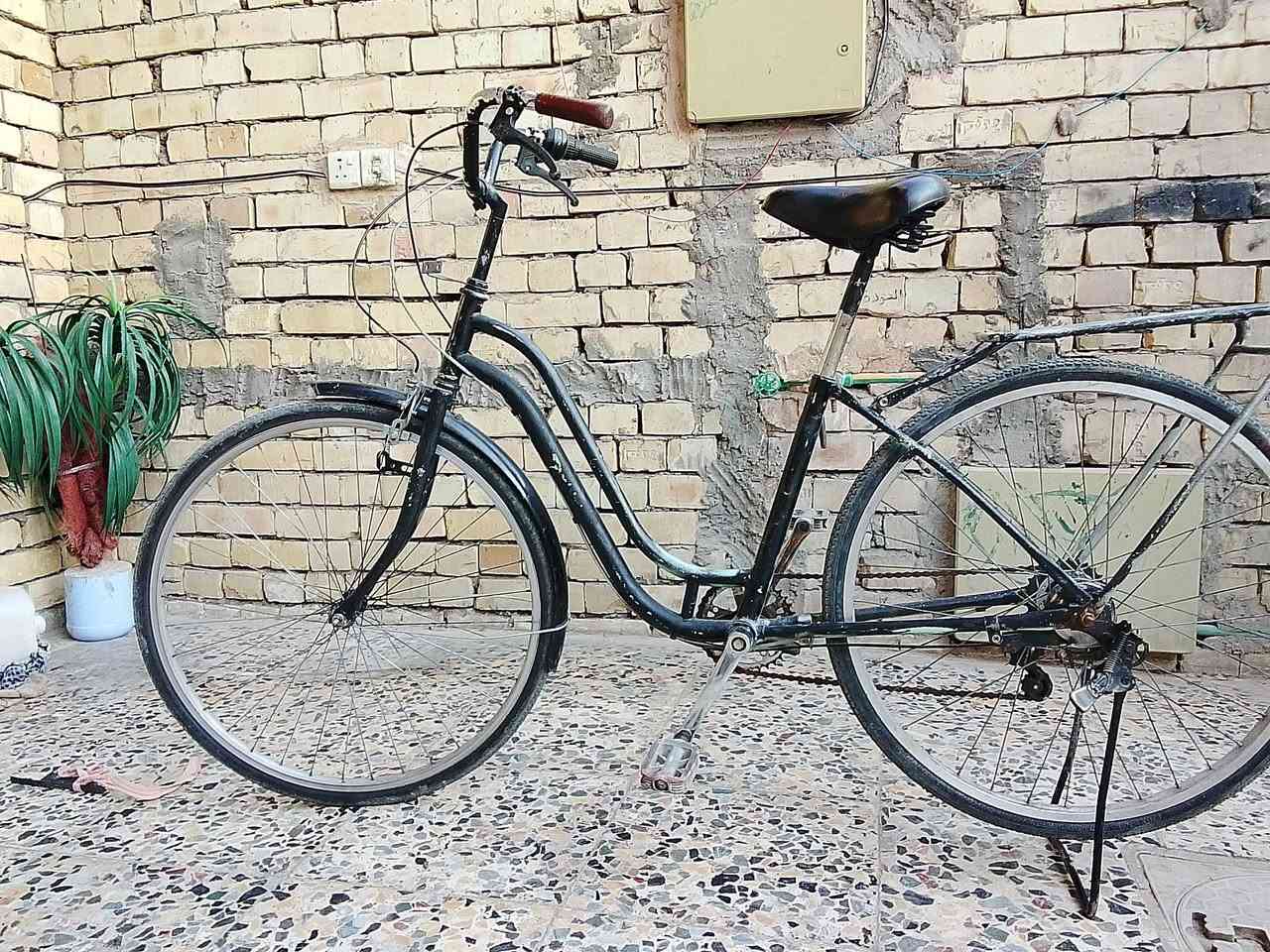 السلام عليكم شباب باسكل لبيع كلشي مابي مكاني بغداد كمالية شارع 70 سعر 80 الف بي مجال


**إذا كنت صاحب هذا الإعلان وتريد حذفه لأي سبب، رجاءا أرسل رسالة إلى الدعم الفني**