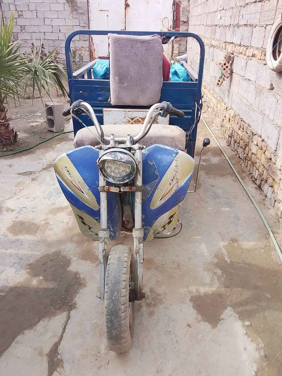 ستوته معوقين للبيع مكاني الدوانيه ***********
