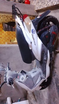 سكنس فحل • كابريتر