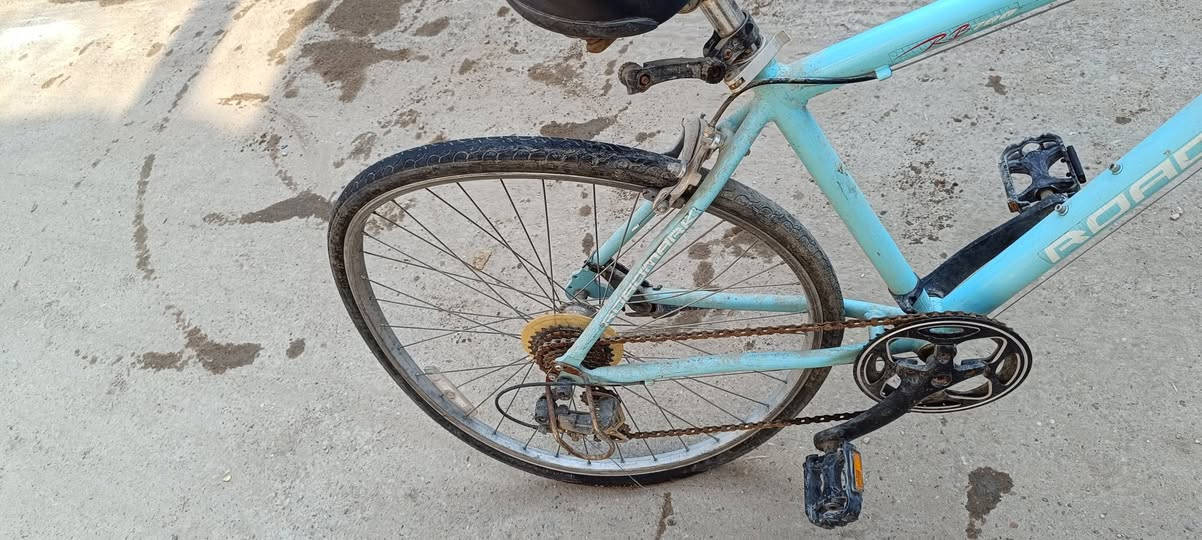 السلام عليكم من رخصة الادمن هاي بايسكلات للبيع. الواحد 50


**إذا كنت صاحب هذا الإعلان وتريد حذفه لأي سبب، رجاءا أرسل رسالة إلى الدعم الفني**