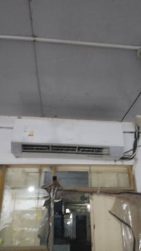 سبلت الوادي • ٢طن • المشتل بغداد