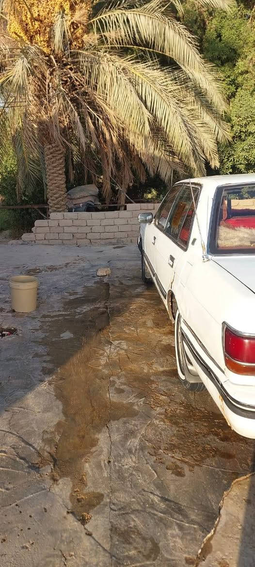 سيدان مديل 2000 محرك وكير باطه جدد لا تنقيص ولا تبخير بيهي رشت صبغ بل باب السعر 30 وبيهي مجال مكان سماوه السوير للستفسار ***********
