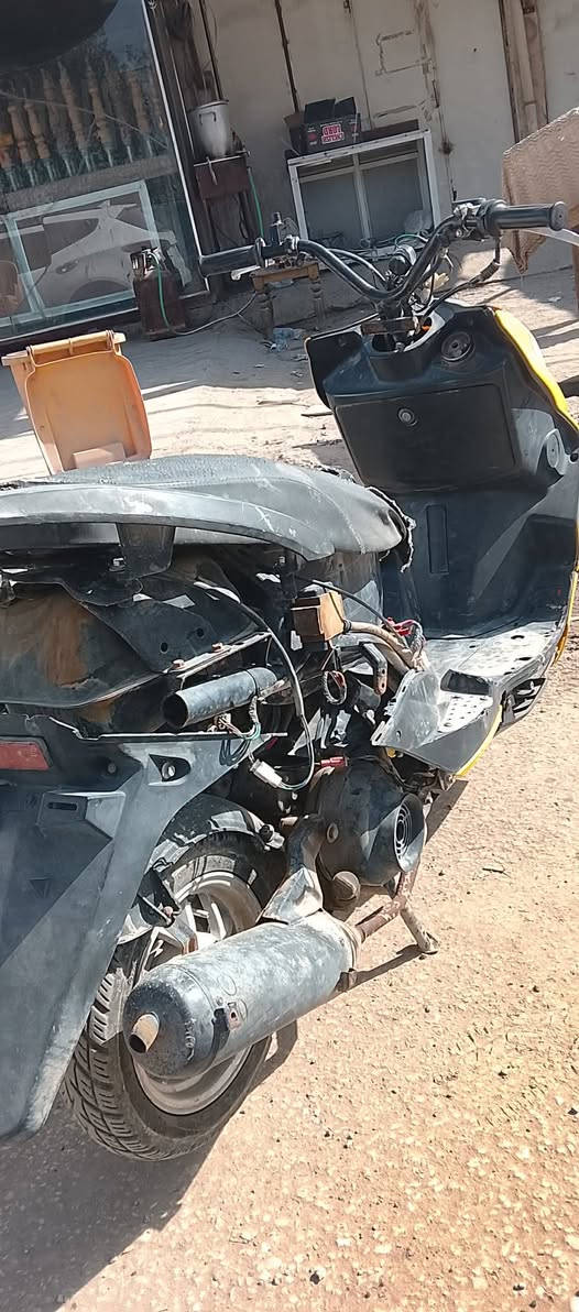 السلام عليكم سكنس فحل 
خرسه كابريته يرادله فقط دوشمه كشن
المكان حله ***********
