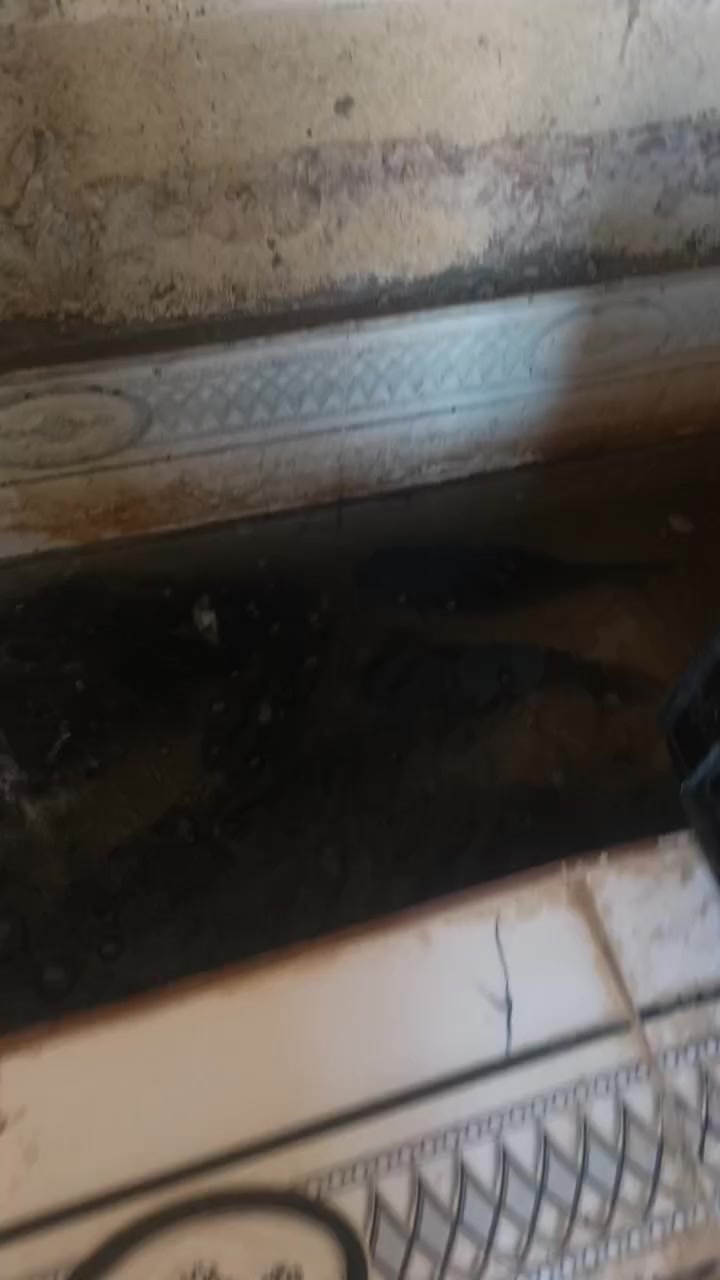 كيلو سمك 7ونص هوه وشويه يم مشويات ابو اسعد الجهلاوي 
قرب سعد ابو جوادر توصيل داخل نصر

***********
