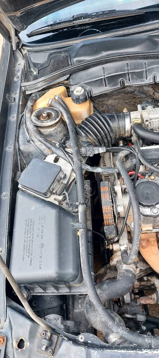 اوبل فكترا موديل 1991رقم بغداد بااسمي مصبوغه عام فرن جماليه جام كهربائي سلايد كهربائي محرك الفين كير اوتوماتيك هذا رقمي  ***********السعر 50
