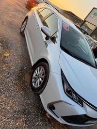 كورلا • ٢٠٢٤ • رقم اربيل