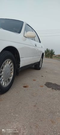 بطة للبيع رقم بغداد إنكليزي باسمي بيها ربع جاملغ خلفي فقط خفيفه تخم تا...