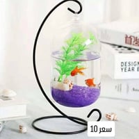 سمك فايتر • دوارق • توصيل