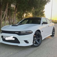 دايتونا • ٢٠١٧ • بابل شارع ٦٠