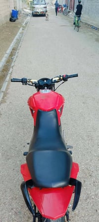 فرخ بطح • ليفان 2019 • أوراق كاملة