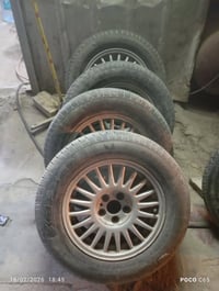 تخم ويل كب مع التيرات لبيع ٠٧٨٠٧٦٥٧٦٩٦