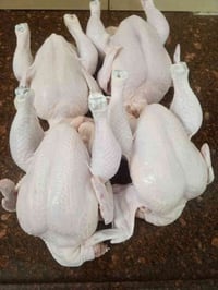 #دجاج مال ذب-ح #خشن الوزن كيلون  واكثر #فريش الذ-بح حسب الطلب  الوحده ...