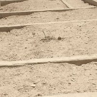جزء ثاني زراعي • أرض • للبيع