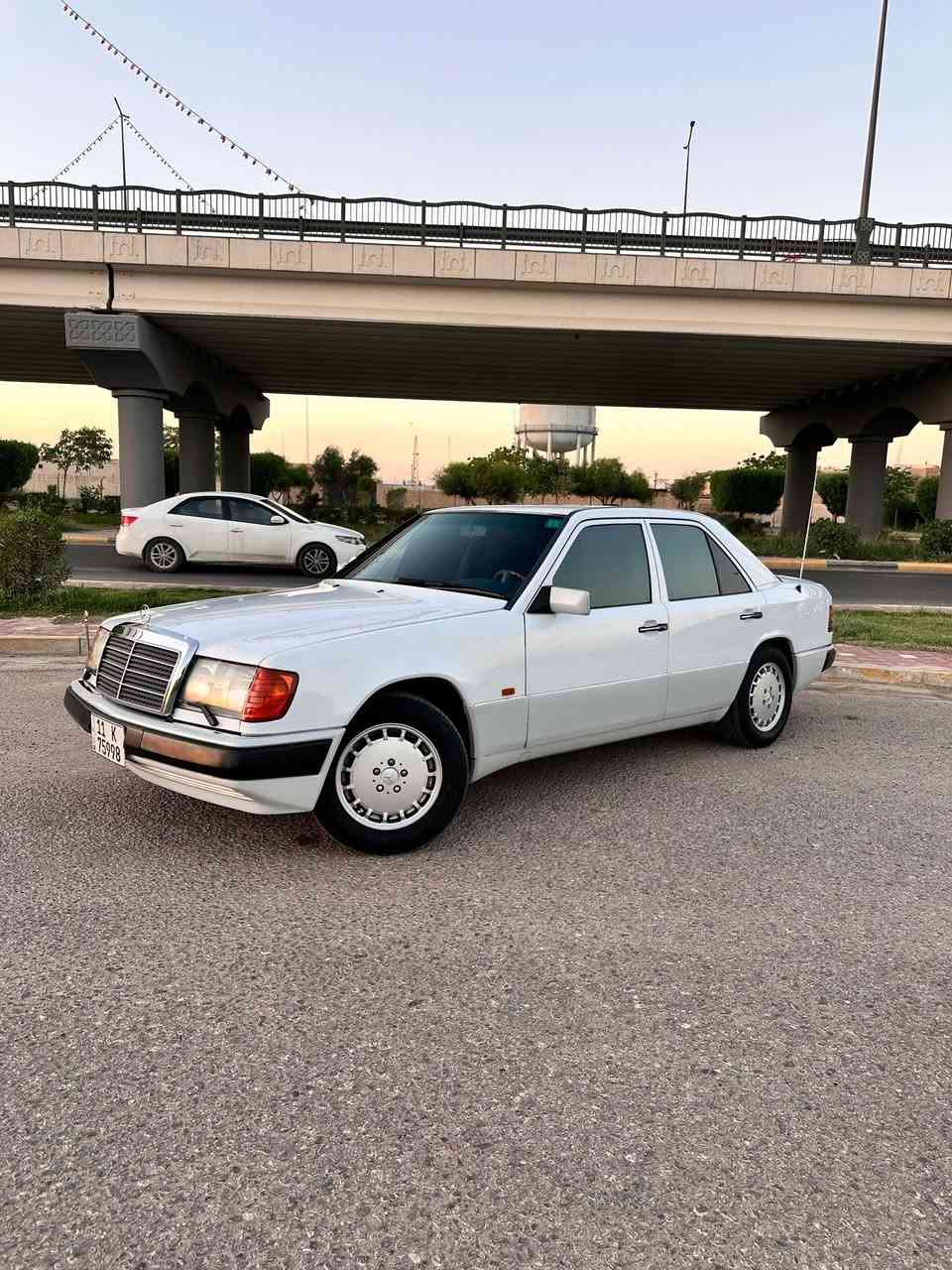 ياالله للبيع فقط دب 🐻 260 موديل 88 رقم بغداد دولي 
السياره بلاديه بدون صبغ بيه قطعه وحده والباقي مكفول
وارد يابان بدون فتحة
مكينه وكير جدد 
حداديه امامي وخلفي جديده 
تخم تاير جديد
تبريد شغال ثلج
مراوح كهربائية أنسى الحماوه شلع
غرفه مخمل جديده جداً
كشنات كهرباء
جام 4 كهرباء 
سنتر لوك عل السويج البلادي
اريل كهرباء 
قواعد دبل وبرانكيت شركة
مكفوله من الضربه والخياس والصبغ
السعر 86$ وبيها مجال بسيط جدا مكاني كربلاء المقدسة 
***********
