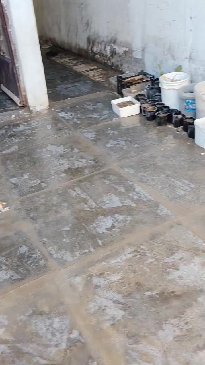 سلام عليكم بيت لبيع مستعجل تفاصيل البيت وسعره ع هاذه رقم *********** مكان مشتل شارع المدارس قرب بطاقه تموينية
