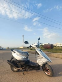 ماكس مضلع • ٢٠٢١ • سلف ميشتغل