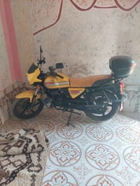 دايوان ماكس • ٢٠٢٣ • مكفوله