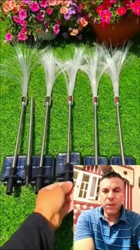 إضاءة قنديل البحر • ديكور منزلي