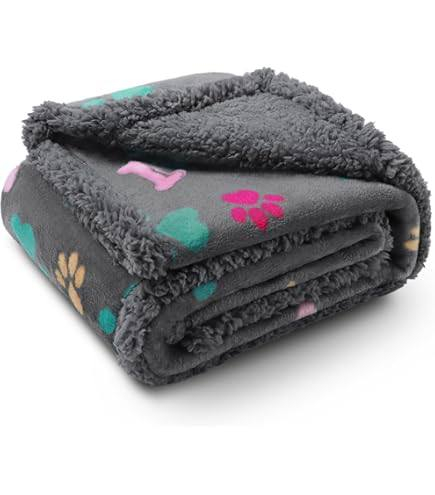 اغراض كلاب لتفيده شلعة ينطي سعر 🦋


**إذا كنت صاحب هذا الإعلان وتريد حذفه لأي سبب، رجاءا أرسل رسالة إلى الدعم الفني**